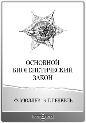 Кракен маркет даркнет только через тор скачать