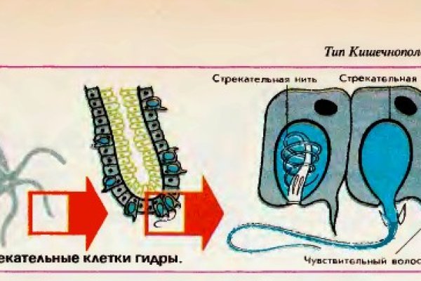 Ссылка кракен cc